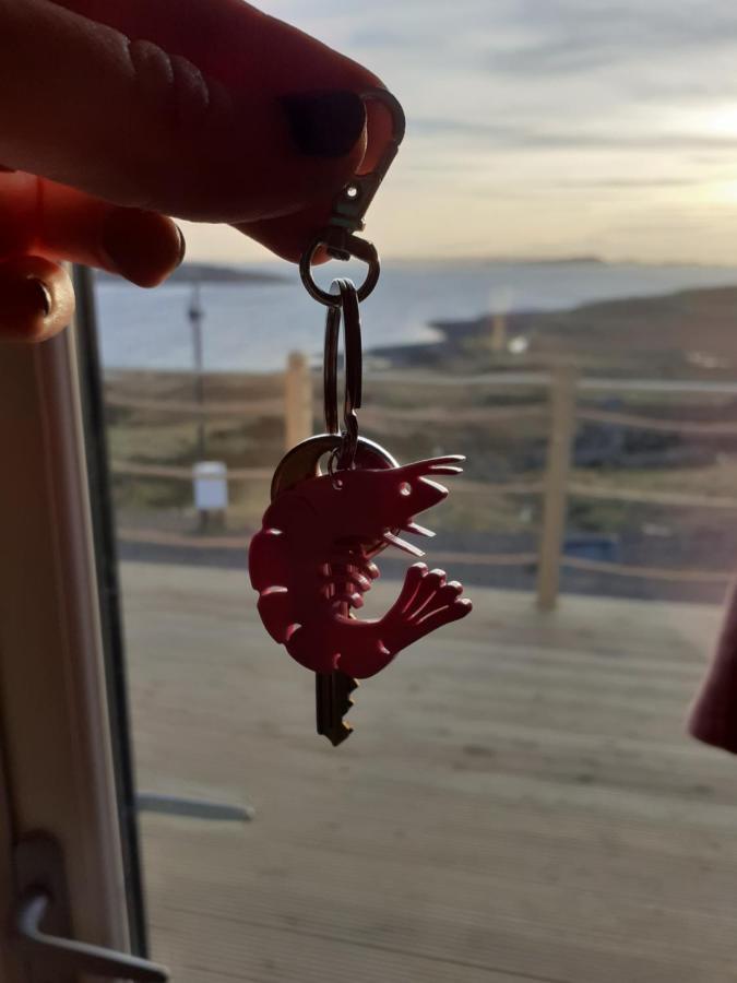 ホテル The Sleepy Crofter Glamping - Achiltibuie エクステリア 写真